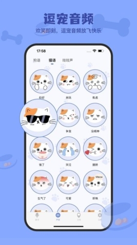 小白交流翻译app