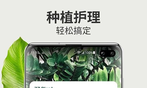 Blossom植物识别app