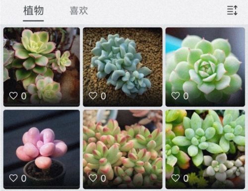 小植物app