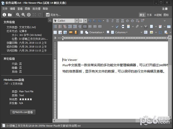 file viewer plus中文版