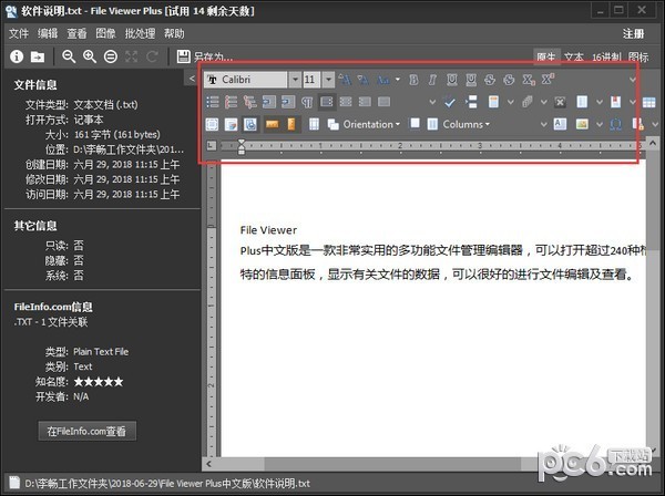 file viewer plus中文版