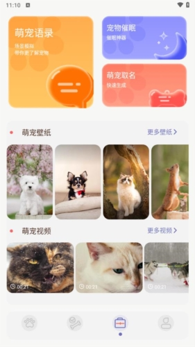 猫咪聊天翻译器app