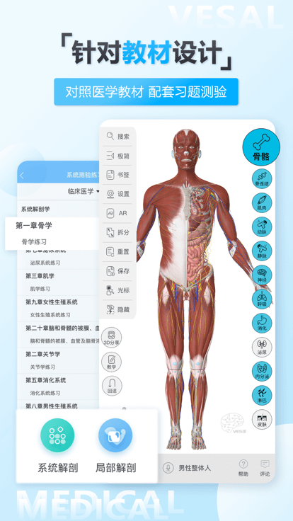 维萨里3d解剖官方版下载