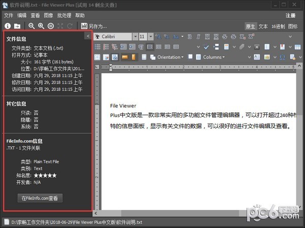 File Viewer Plus(文件管理编辑器)