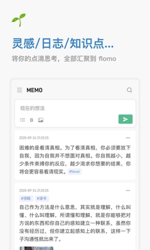 flomo app