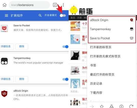 kiwibrowser浏览器