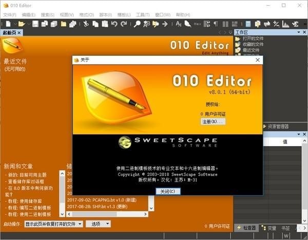 十六进制编辑器010Editor