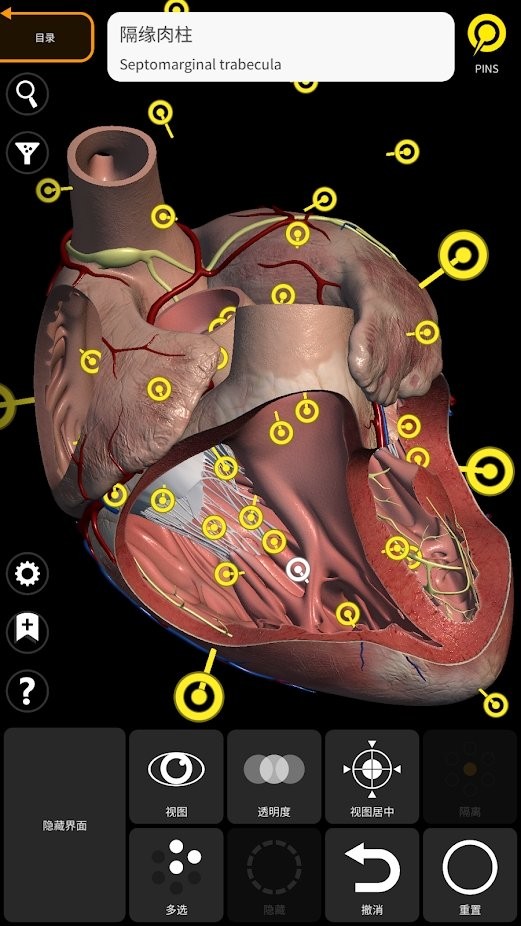 解剖学三维图谱app