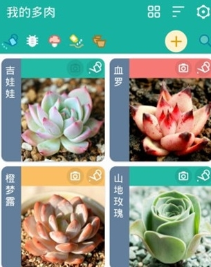 多肉成长记安卓版