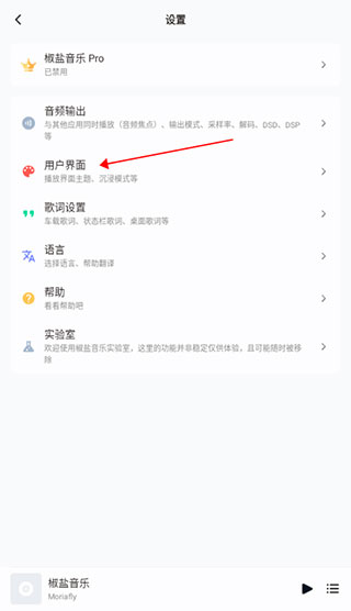 椒盐音乐软件使用方法